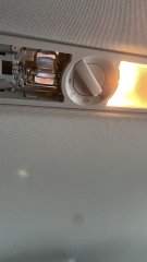 IMG_8472.jpeg