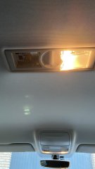 IMG_8541.jpeg