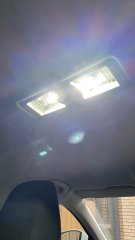 IMG_8542.jpeg