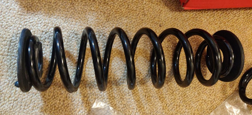 2024030404Rearspringdryfit.thumb.jpg.ffc8c415f8b9d8294769498870547938.jpg
