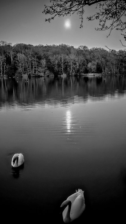 20240324_1903163.thumb.jpg.f45c13ef93735ef7aab809661268e3ba.jpg