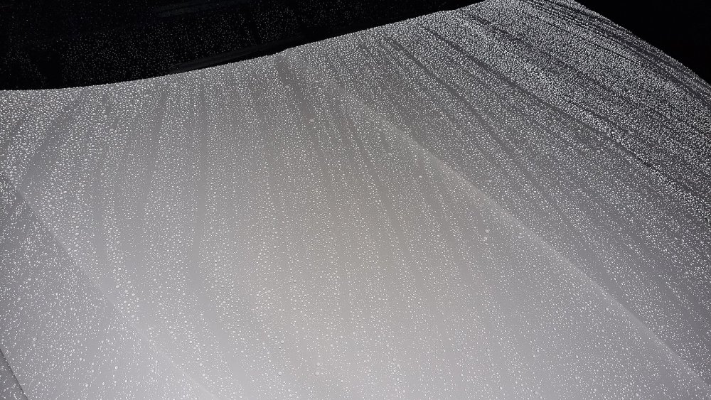 20240326_215409.thumb.jpg.c4743c8c4ca7c312b94a321f850028ff.jpg