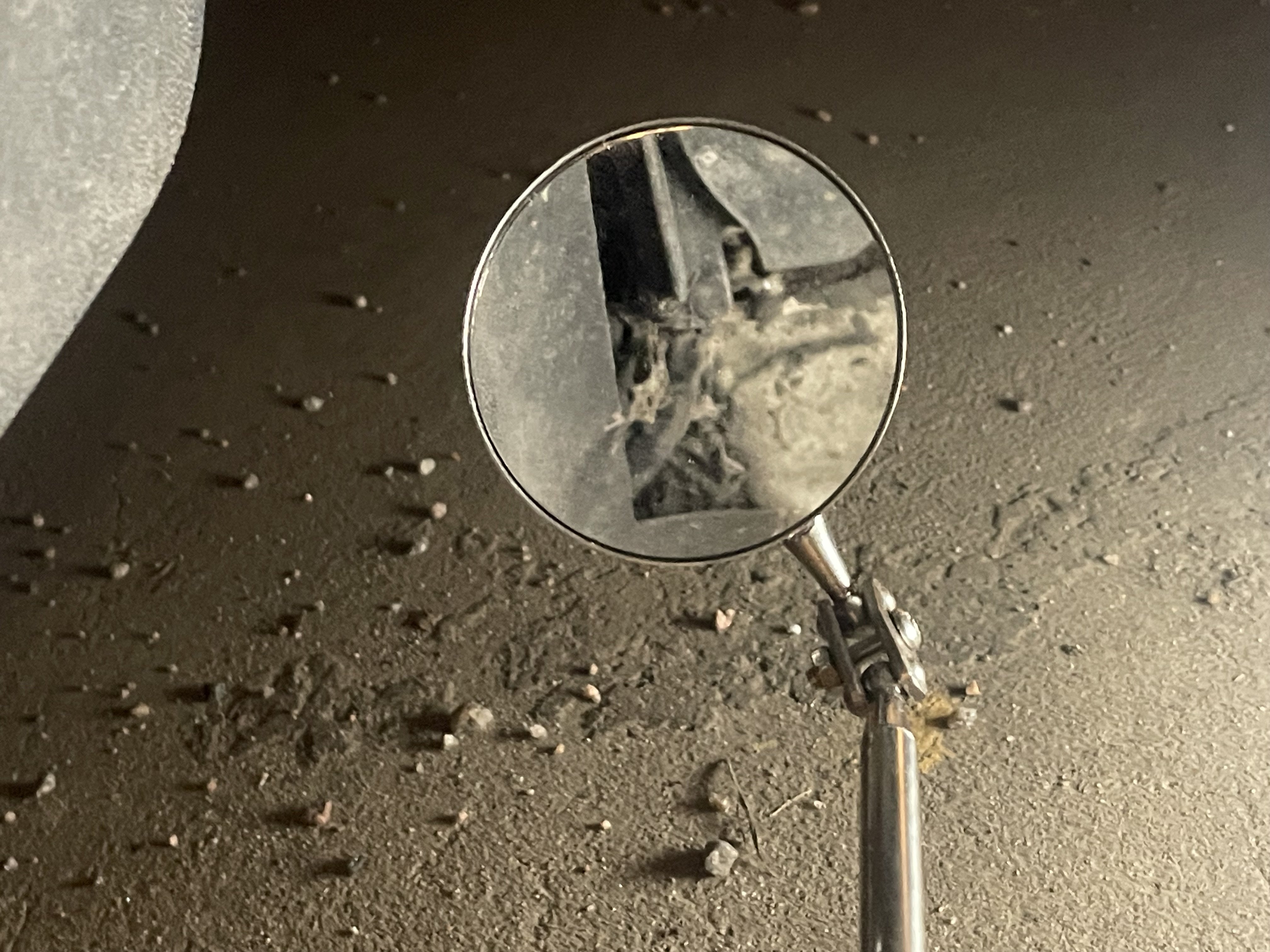 Rust prevention Octavia Mk3 - Skoda Octavia Mk3 (2013 - 2020) - BRISKODA