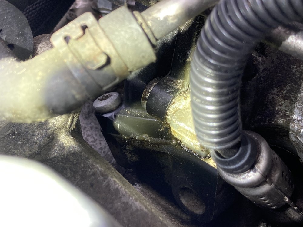 Oilcloser.thumb.JPG.09d5d77dcad4057464e48805e0a46377.JPG