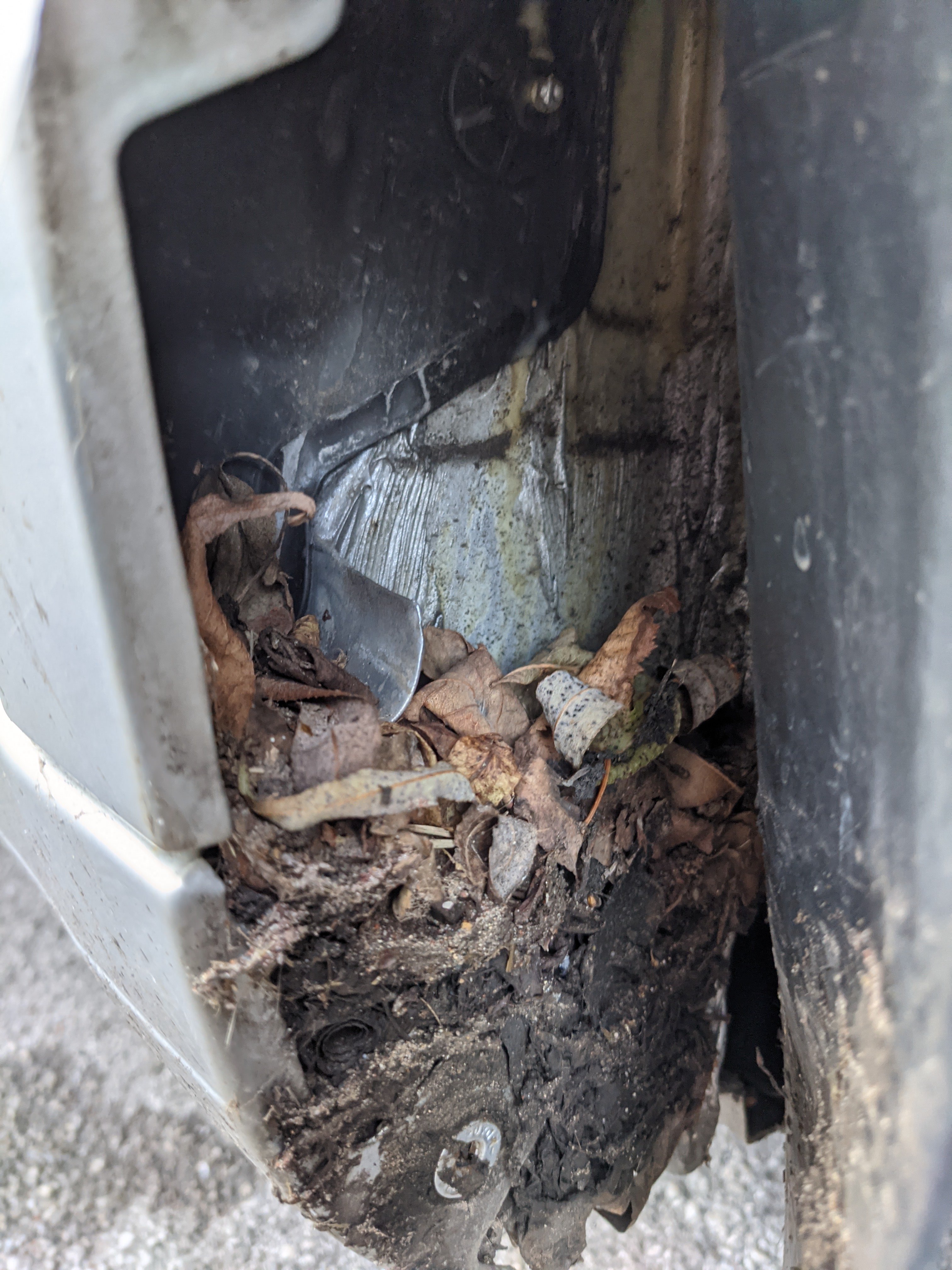 Rust prevention Octavia Mk3 - Skoda Octavia Mk3 (2013 - 2020) - BRISKODA