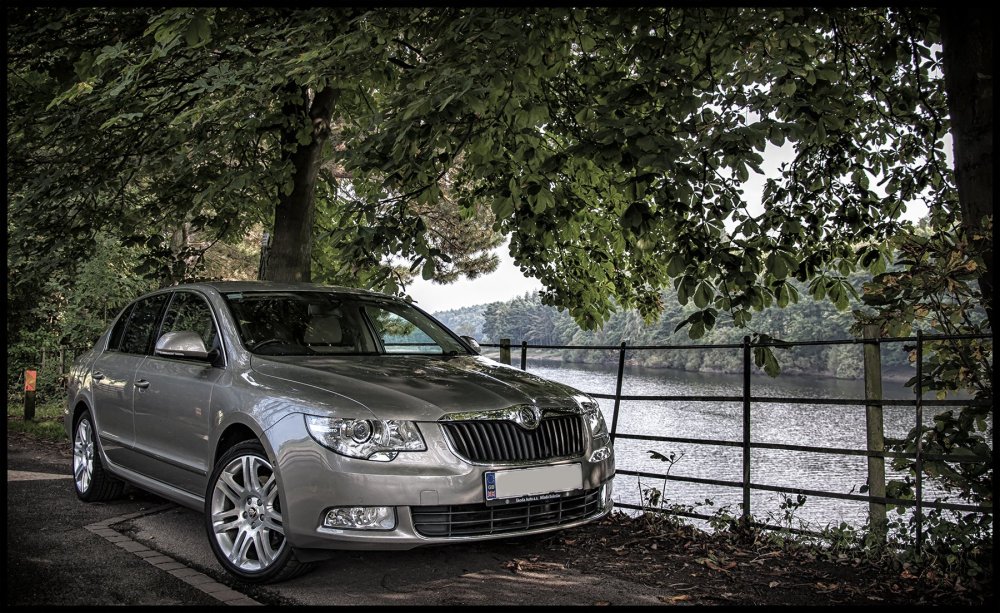 Superb 1 Colour Small.jpg