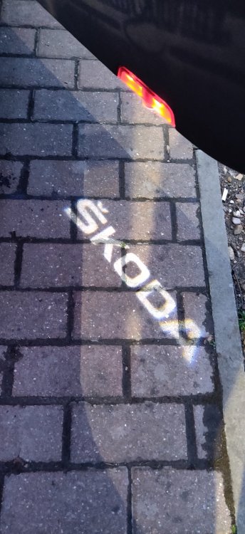 image.thumb.jpeg.6c2f86f0727969a8dfec24cedd87c922.jpeg