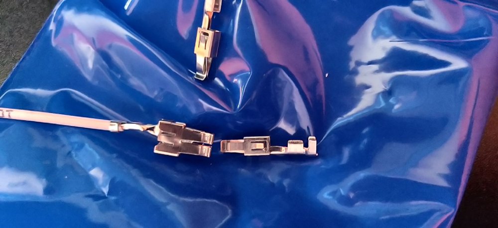 image.thumb.jpeg.a97d4d40bcb16a60e02299f7e0394ccd.jpeg