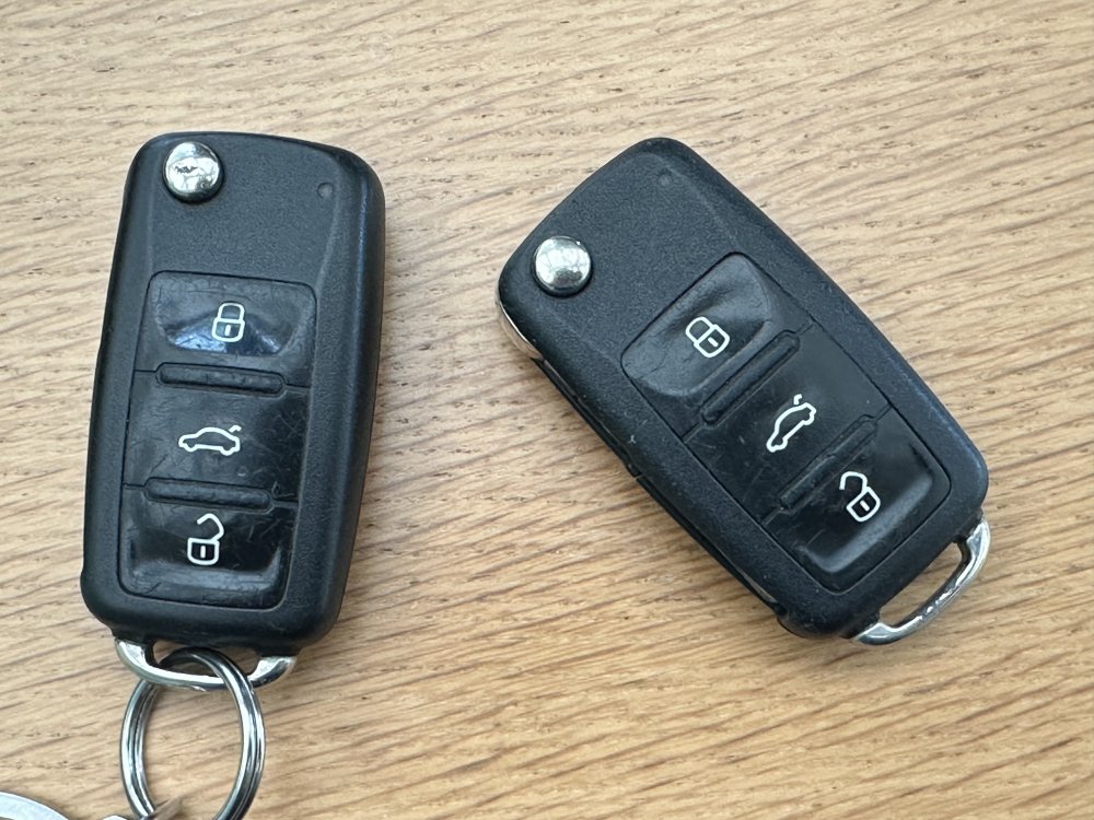 IMG_3240.jpg