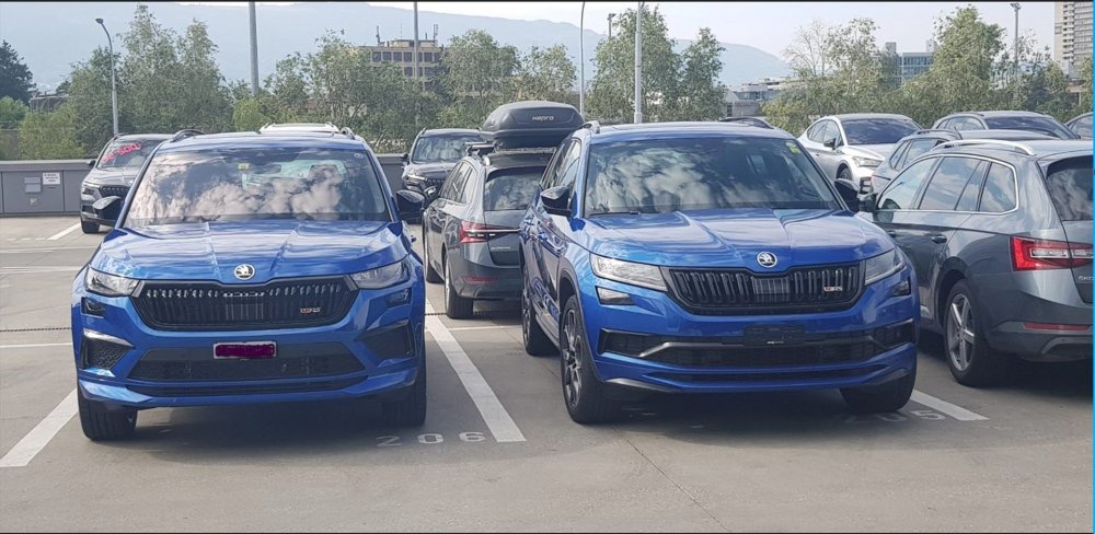 RS2 and RS1.jpg