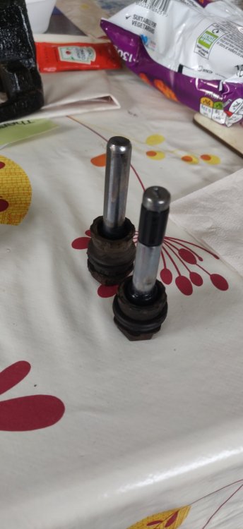 image.thumb.jpeg.7879441310a2b668ca47ac10eeec87ae.jpeg