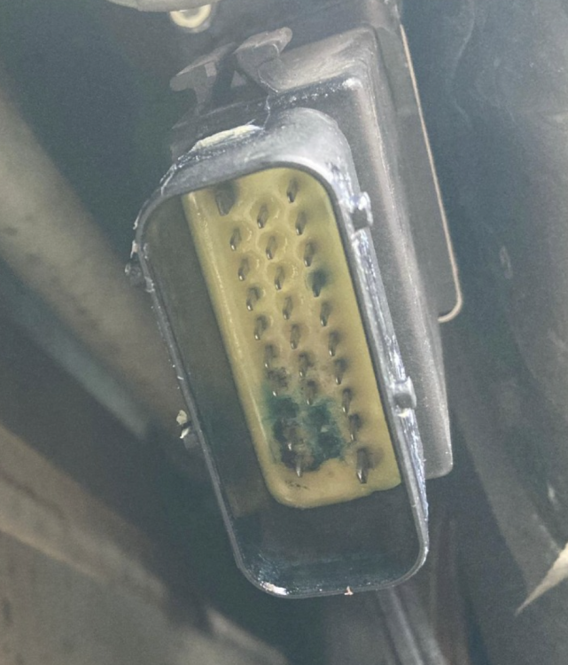 image.thumb.png.3d917194549cc4a62cf68e65ffa02e5f.png
