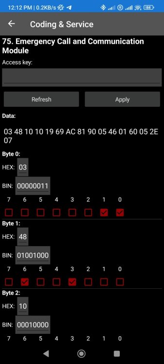 long coding screen.jpg