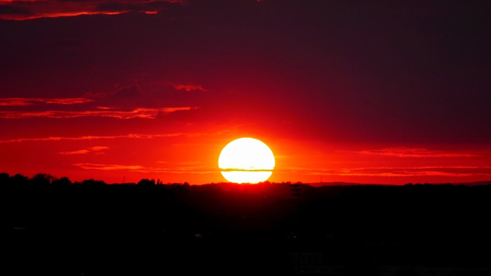 13306232.thumb.jpg.e595eb61579ce0afb1c28514c641a646.jpg