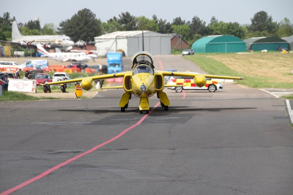 Gnat1.thumb.jpg.4e70130228787f702b65704cac8a5886.jpg