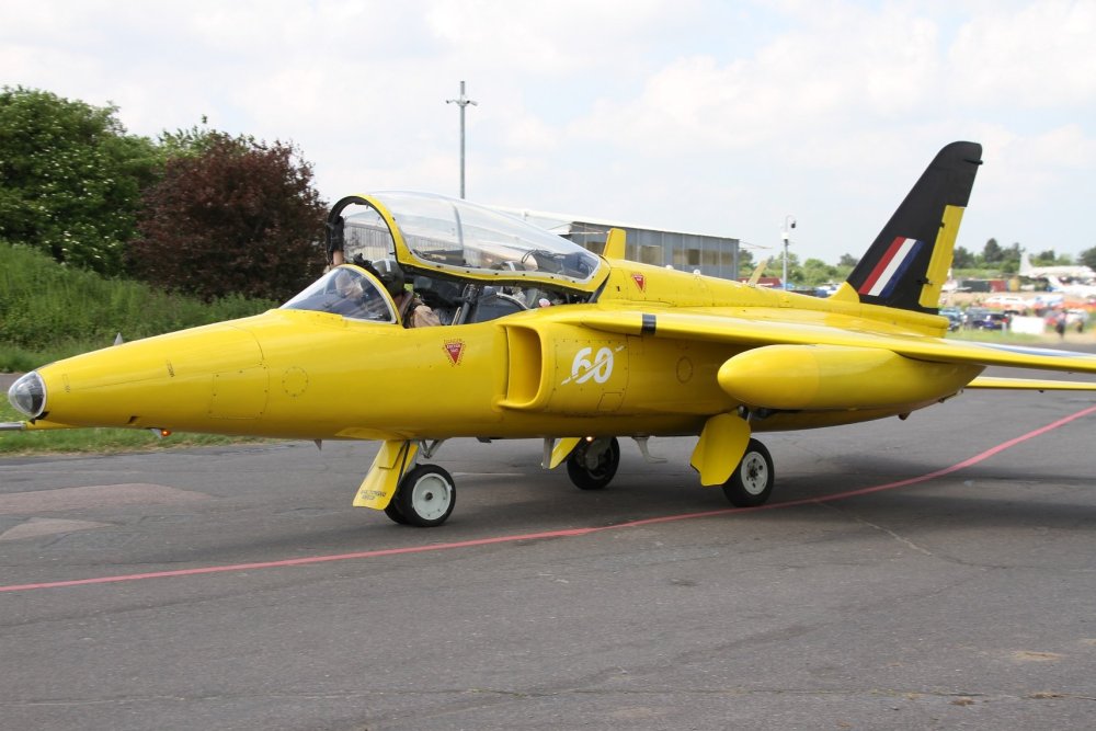 Gnat2.thumb.jpg.cacdd7b9da6ad256bce5668c024628f3.jpg
