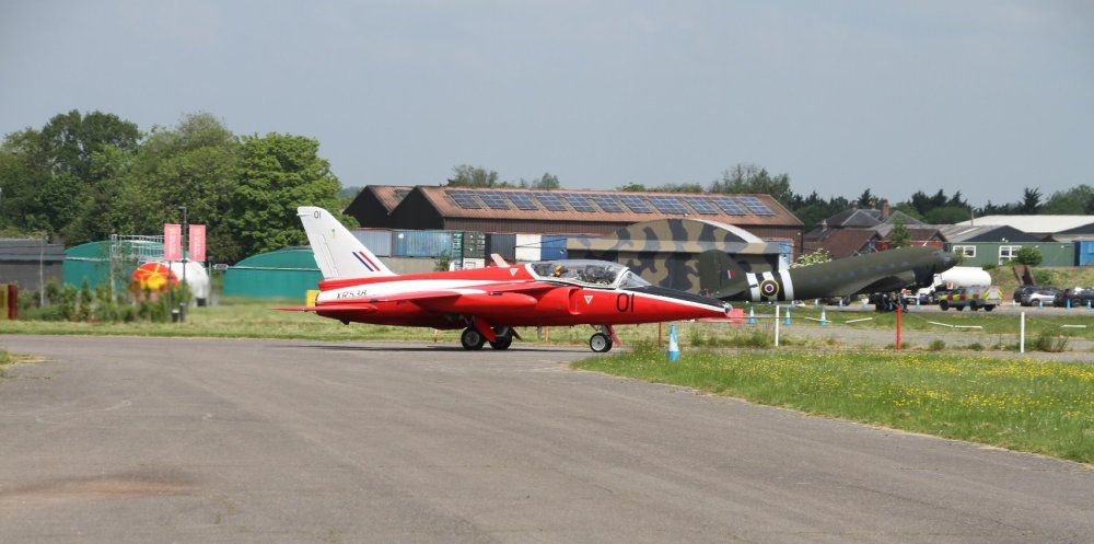 Gnat3.thumb.jpg.7567ea5cef29888b9f642e37bf1b9d24.jpg
