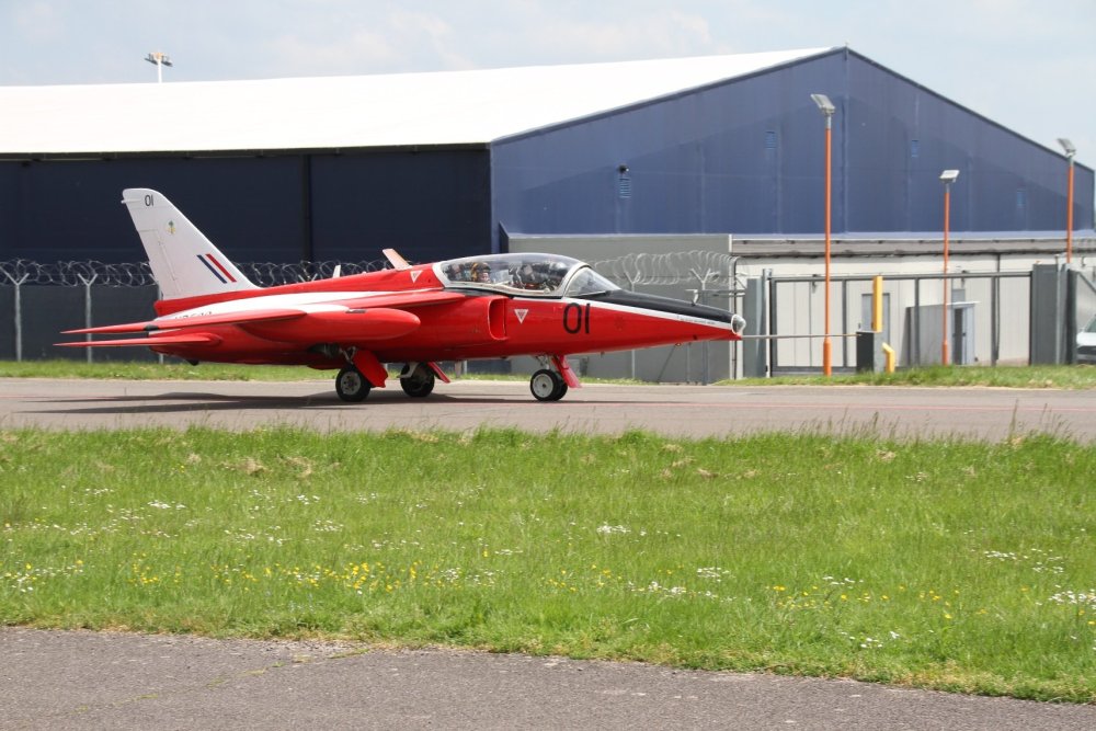 Gnat4.thumb.jpg.1853418775fe2b37d9c68398020bcb7f.jpg