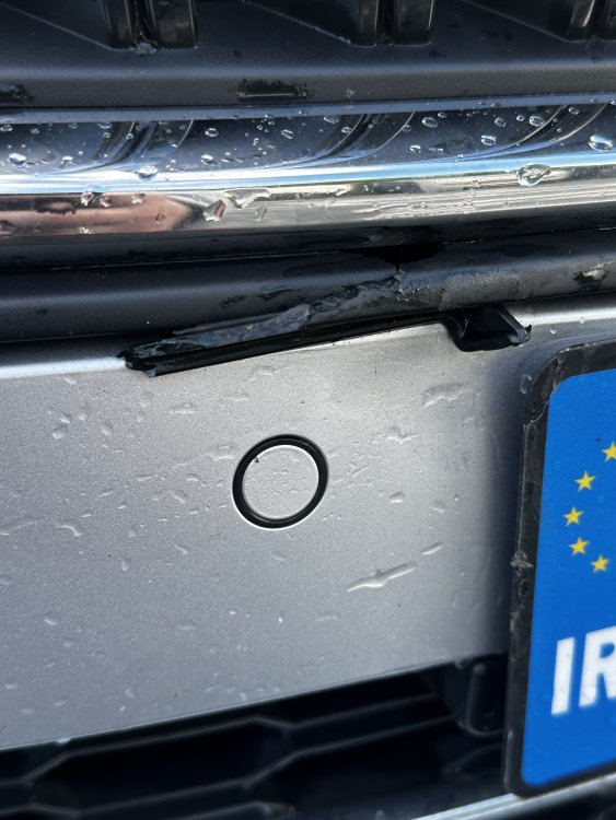 IMG_2064.thumb.jpeg.353ea821881a2d0edeb0a9aa3bc38d97.jpeg