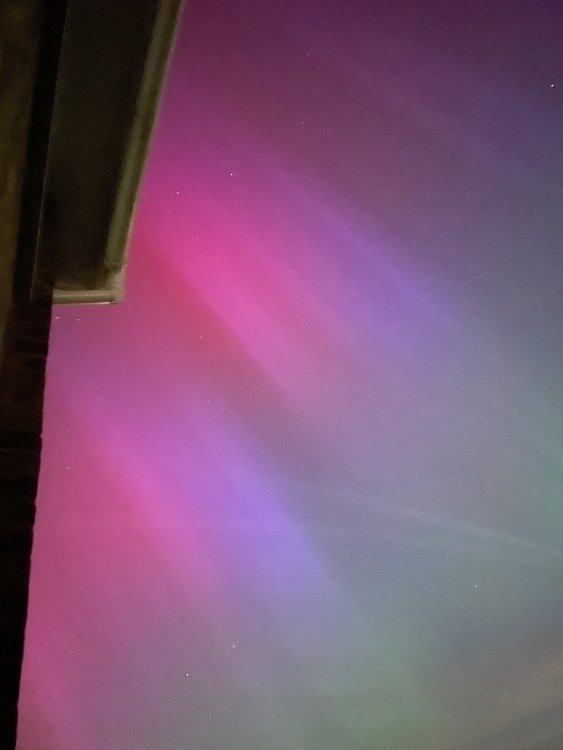 IMG_9461.thumb.jpeg.1673203c8bf20d38b2e4aee60be60f59.jpeg