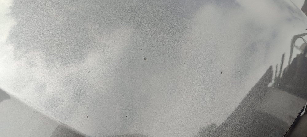 IMG20240602120116.jpg