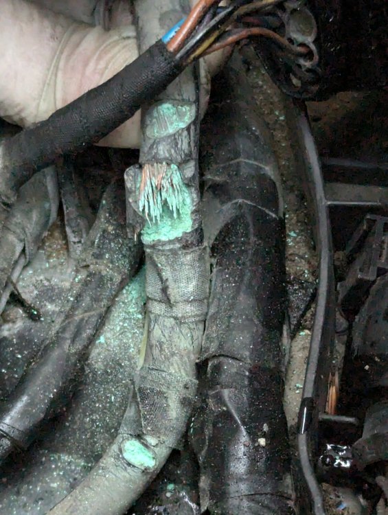 PXL_20240627_200913909.jpg