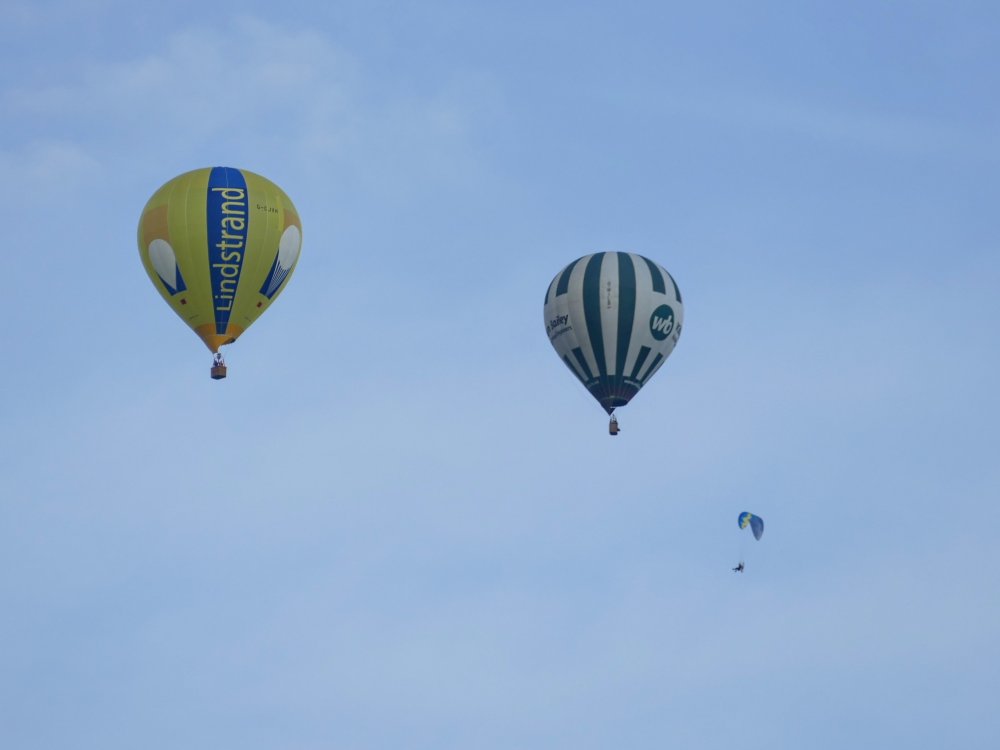 13507922.thumb.jpg.d4358b1f0eb536d782ceec5389c29b22.jpg