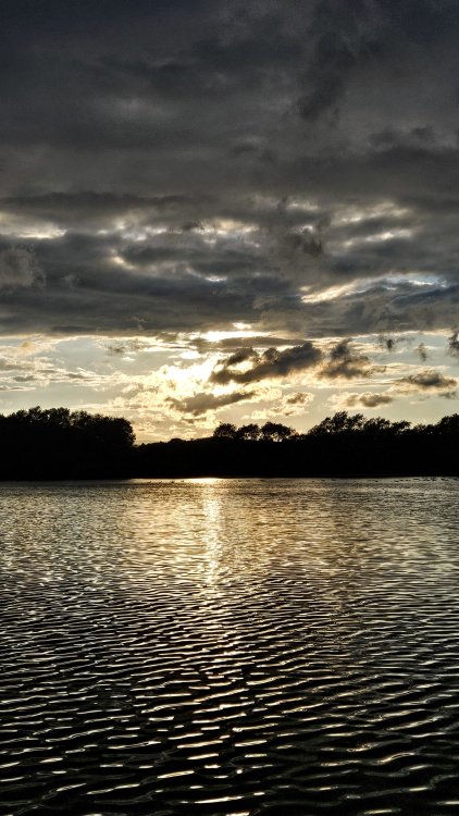 20240703_202506.thumb.jpg.d078fd3804668e82b5cac92498213b8a.jpg