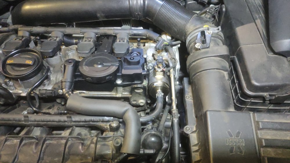 IMG-20240703-WA0020.jpeg
