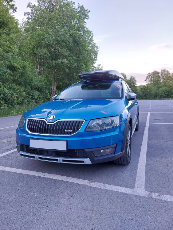 Skoda Octavia Scout2.jpg