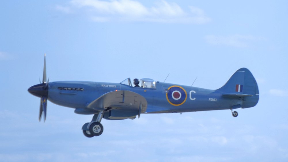 1360033~2.jpg