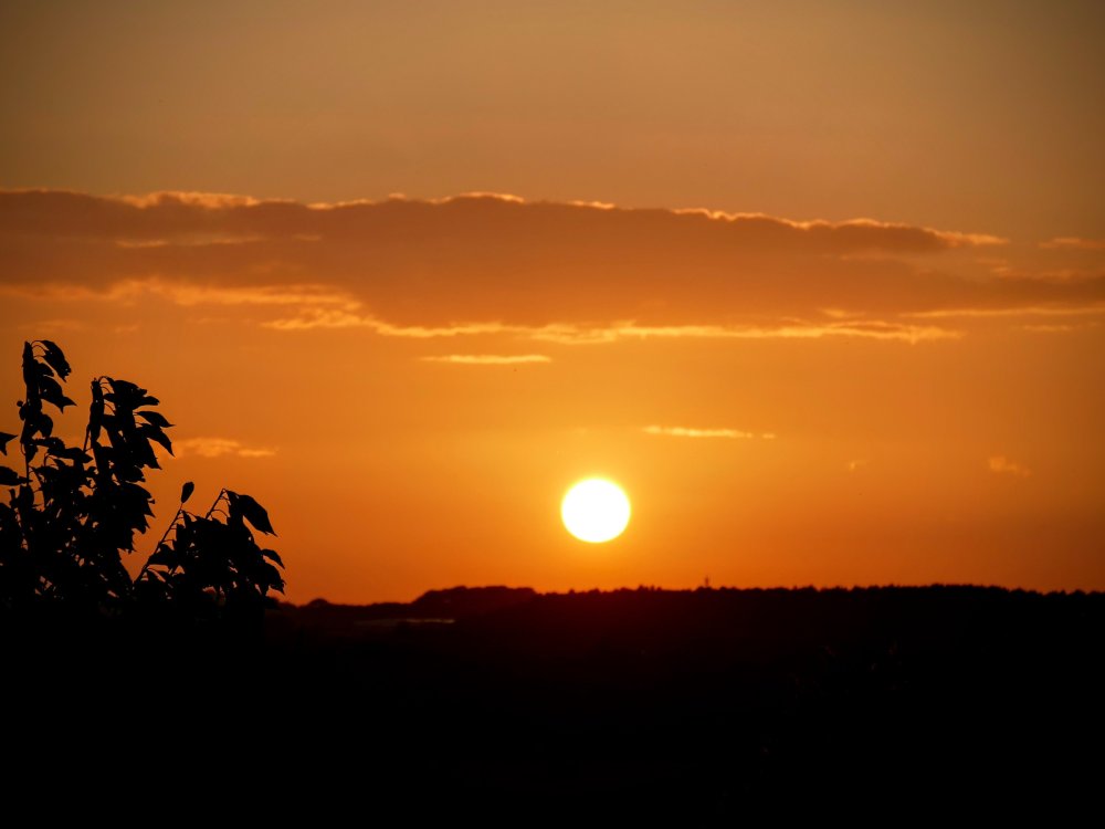 13606472.thumb.jpg.a78adebdeaa4fba43d16d7004196d264.jpg