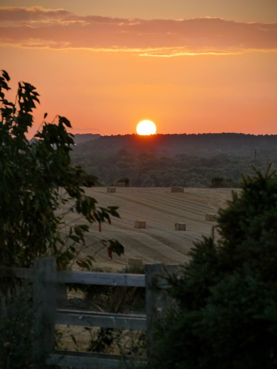 13606752.thumb.jpg.3fa3b80a7c4117cf69310f49f317ccb0.jpg