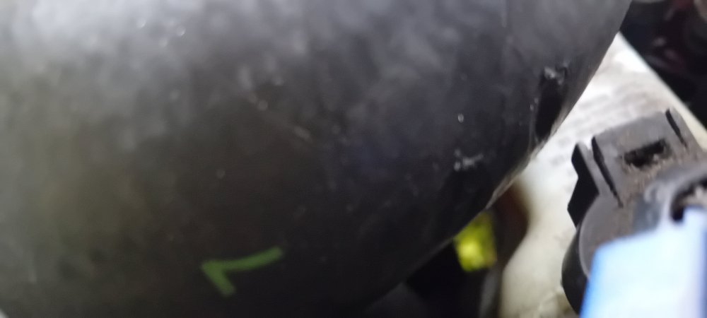 20240801_131923.jpg
