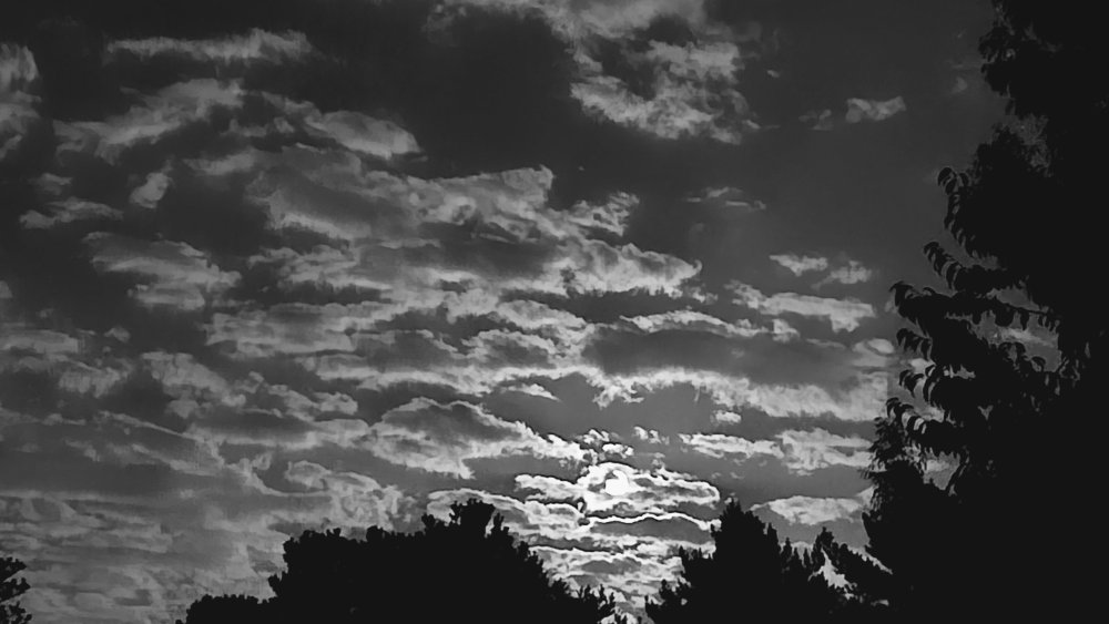 20240816_220255.thumb.jpg.7aeacbc91fafc520c0f64f54d2a5db11.jpg