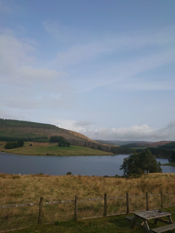 DSC_0745.JPG