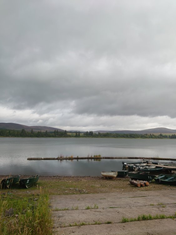 DSC_0748.JPG