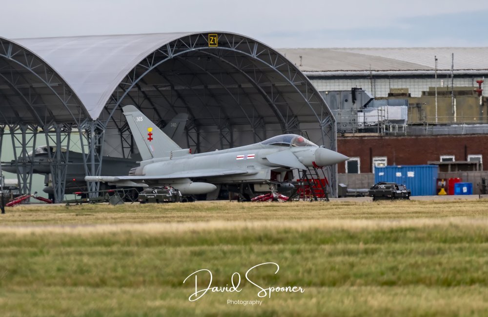DSC_2395_Sig.jpg