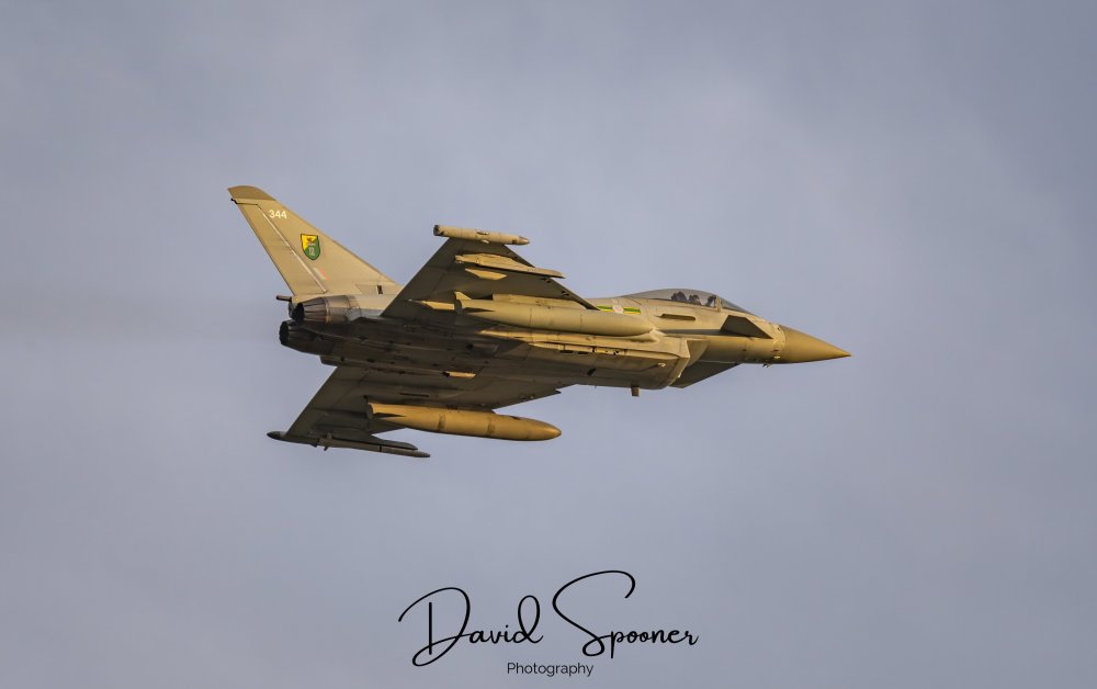 DSC_2500_Sig.jpg