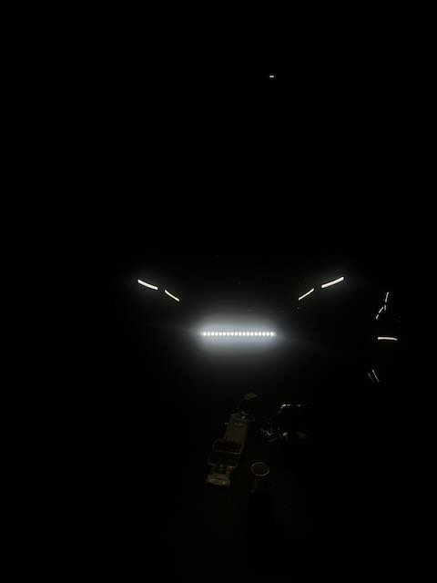 IMG_1339.jpeg.6cdf67c23765ec613401a89ce075dd55.jpeg