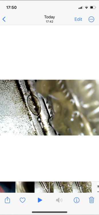 IMG_3248.png