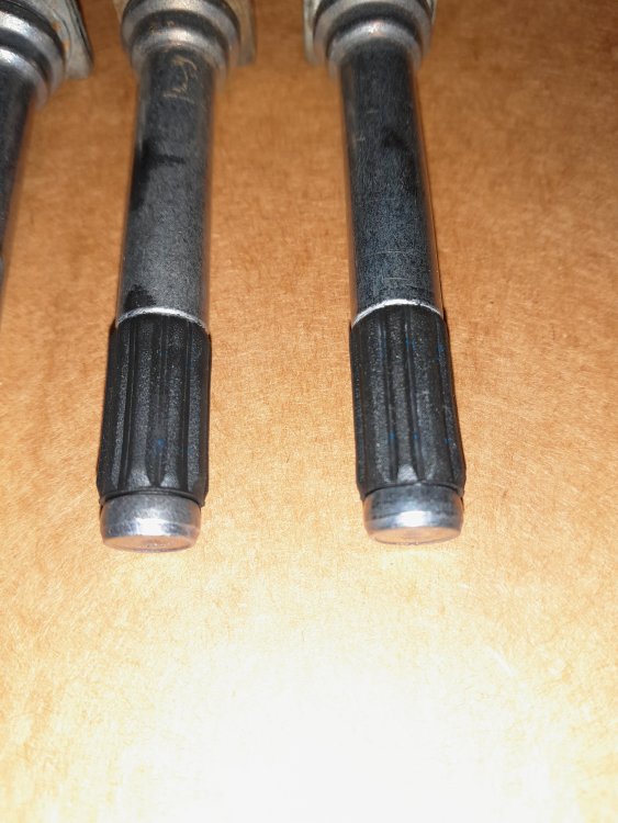 20240916_215516.jpg