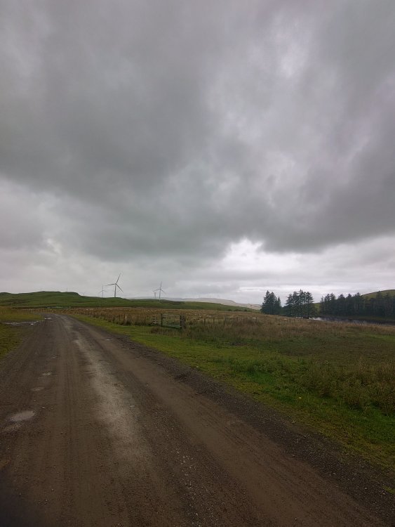 DSC_1137.JPG