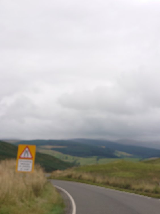 DSC_1150.JPG