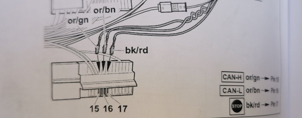 IMG_20240904_171222.thumb.jpg.f2ef94a11779bd97dc688c06e3491a5c.jpg