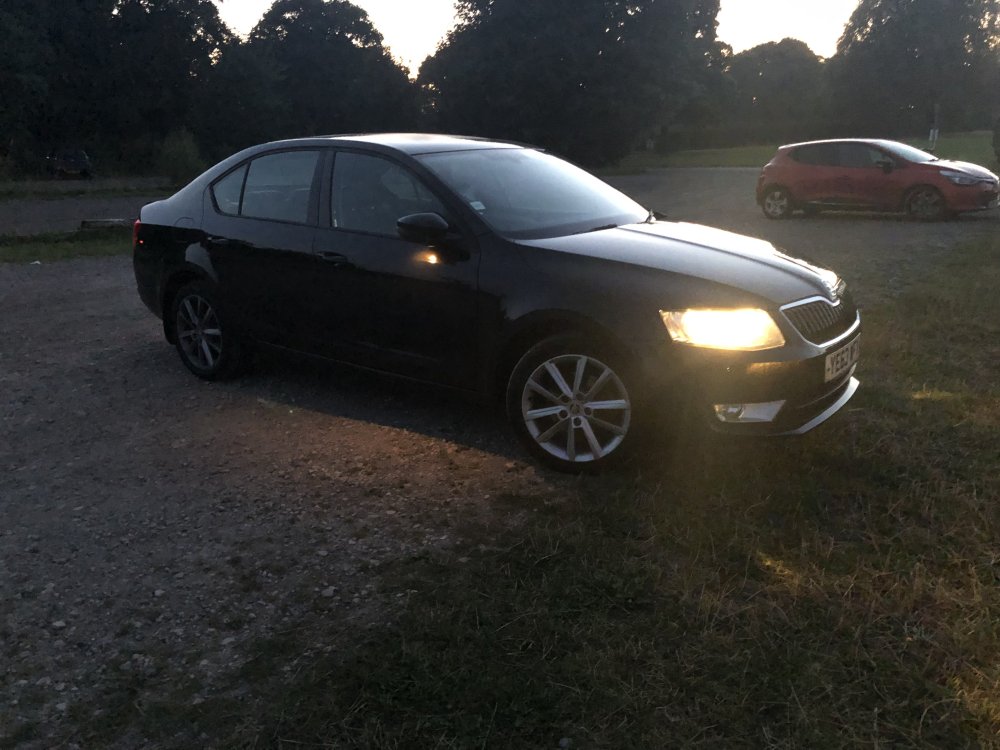 IMG_4507.thumb.jpeg.7e4844ecae3394d81a810e5c572bac2a.jpeg