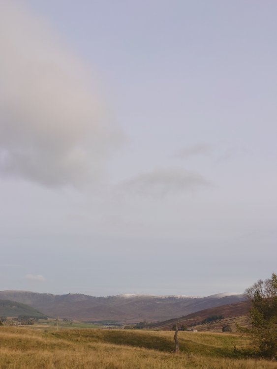 DSC_1911.JPG