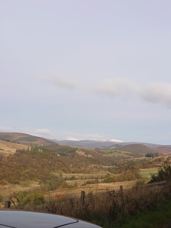 DSC_1917.JPG