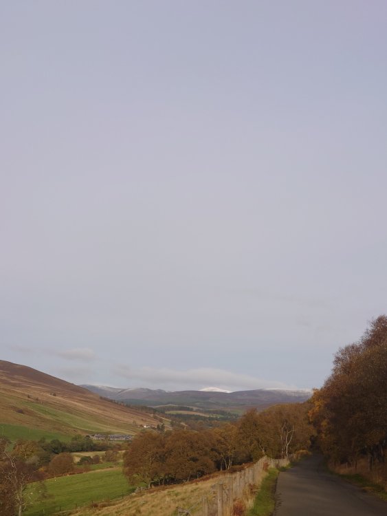 DSC_1921.JPG