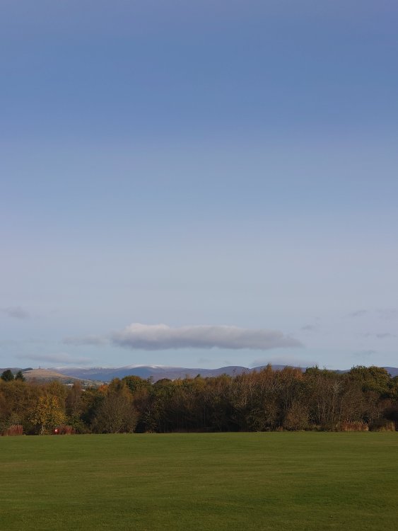 DSC_1937.JPG